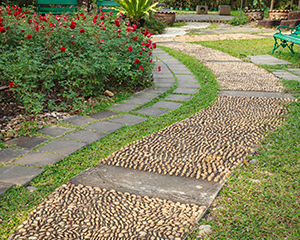 REFLEXOLOGY PARK